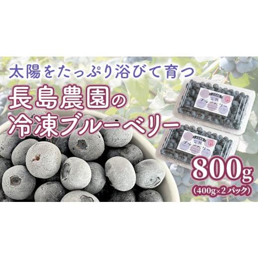 ふるさと納税 茨城県 桜川市 冷凍 ブルーベリー 800g 冷凍ブルーベリー 国産 茨城県産 ベリー 冷凍果実 フルーツ 果物 くだもの 自家製栽培 [AK005sa]