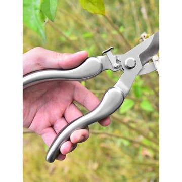 新款304不銹鋼修枝剪修剪樹枝剪刀果樹修枝剪刀剪枝剪刀園藝剪刀