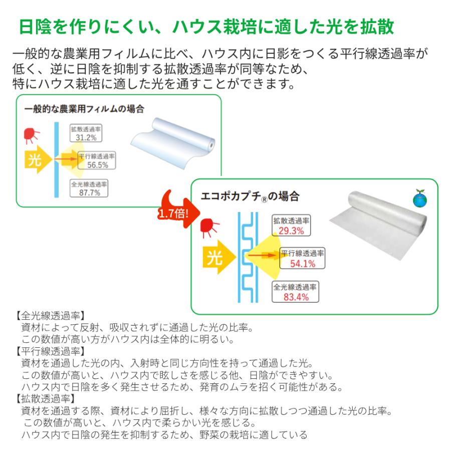 エ d37L 2400mm幅x100m巻