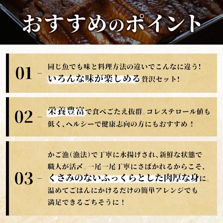 穴子 三陸産 冷凍 伊達アナゴ三昧セット あなご 伊達あなご 一夜干し 気仙沼 限定100セット 三陸未来 さんりくみらい 代引不可