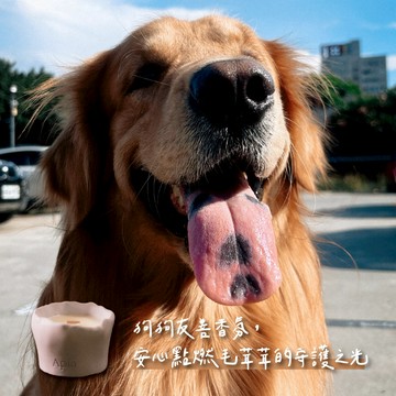快速出貨【Apia】專為汪家庭設計 ੯‧̀͡⬮ 寵物友善香氛蠟燭｜植物精油｜收禮者自選香調｜水泥手工蠟燭