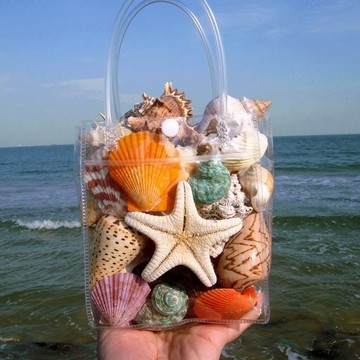 工業品✨ 海邊工業品 海南特產天然貝殼海螺海星珊瑚魚缸水族箱地臺櫥窗造景擺件