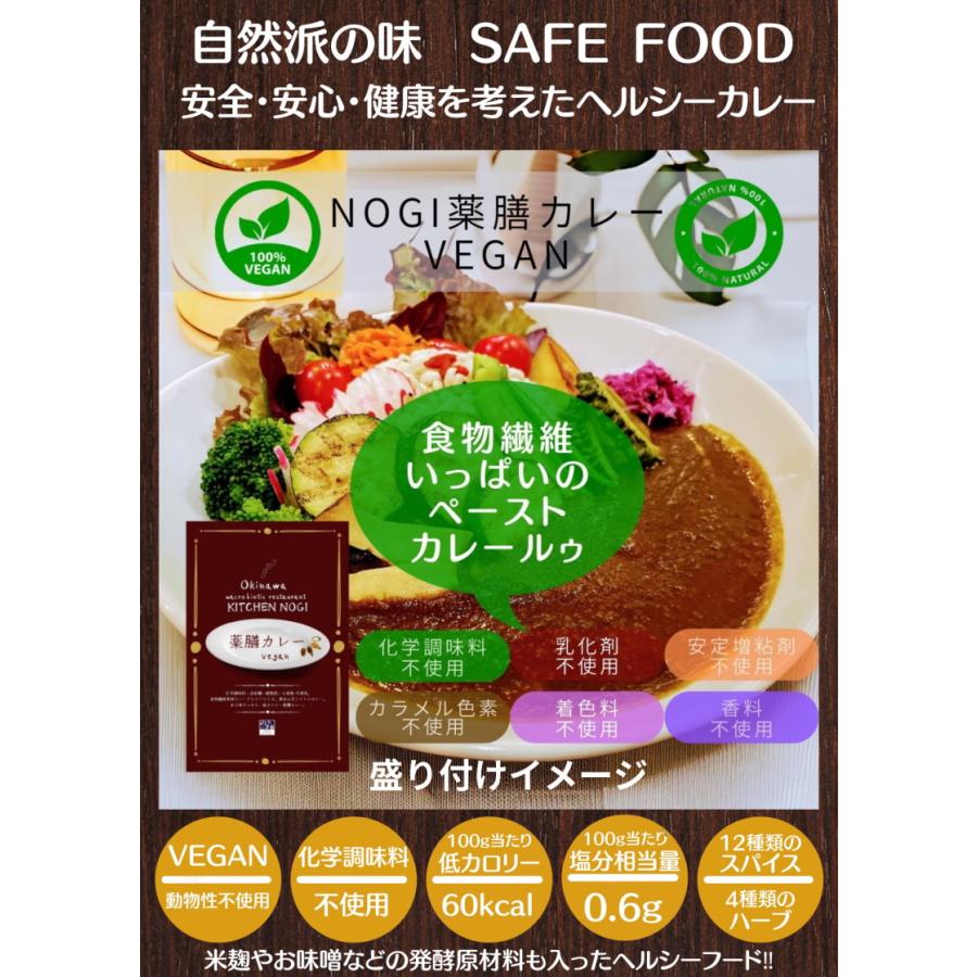 薬膳カレー vegan 中辛 NOGI