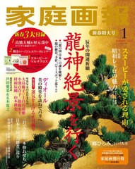 [書籍] 家庭画報 2024年1月号  高橋大輔村元哉中 両面ポスター、スヌーピー マルチクロス、輝きのハイジュエリーカレンダー2024