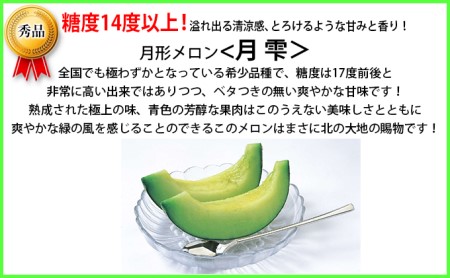 北海道 青肉メロン 月雫 秀品 1玉 約1.6kg メロン 果物 フルーツ 旬 季節 希少 甘い 豊潤 国産 北海道産 デザート ご褒美 産地直送 産直 ギフト お祝い 贈答品 贈り物 お中元 常温 お取り寄せ 送料無料