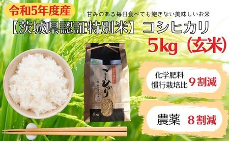 　コシヒカリ　5kg（玄米）