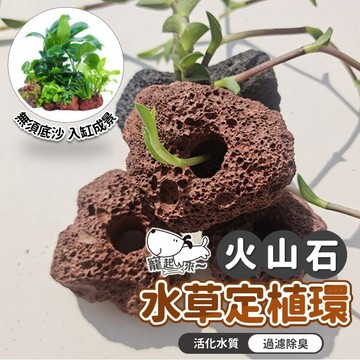 【台灣出貨】火山石水草定植｜水草定植環｜魚缸造景｜水草固定｜水草盆｜水草定植環｜火山石水草｜水族箱水草固定