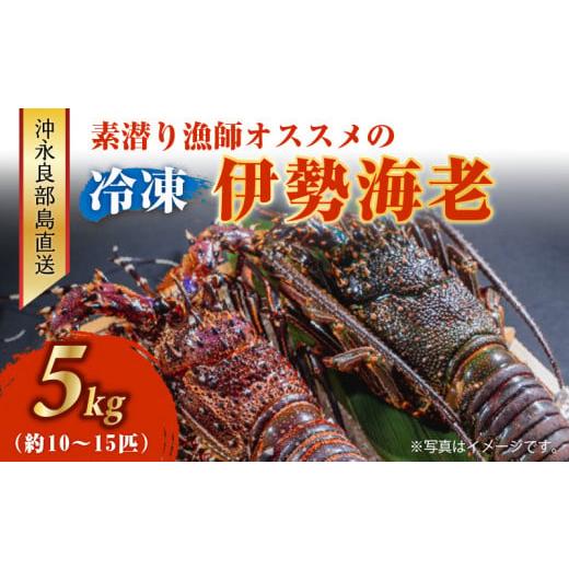 ふるさと納税 鹿児島県 和泊町 ■伊勢エビ冷凍　5kg