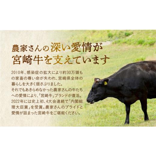 ふるさと納税 宮崎県 綾町 宮崎牛 ウデ すき焼き 計800ｇ 牛肉 肉 国産 しゃぶしゃぶ すきしゃぶ スライス 小分け 赤身 ブランド牛 ギフト 贈り物 九州 宮崎（…