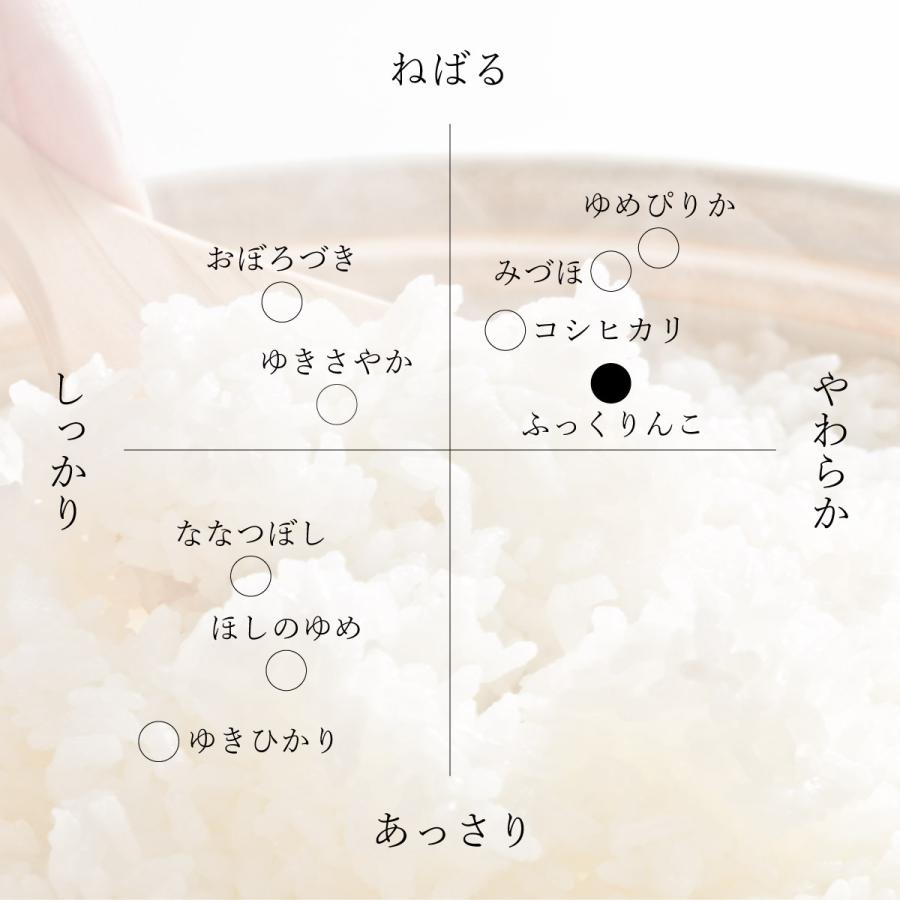 新米 産地限定 ふっくりんこ お試し 750g 5合 北海道産 白米 令和5年産 米 お米 送料無料 ポイント消化