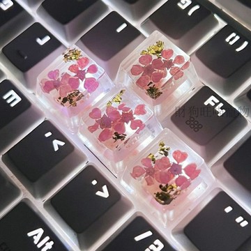 💕在臺出貨🔥高顏值透明真花珍珠梅乾花滴膠鍵帽個性創意機械鍵帽可愛招財專用 鍵帽 特殊鍵帽 造型鍵帽 個性鍵帽 鍵盤鍵