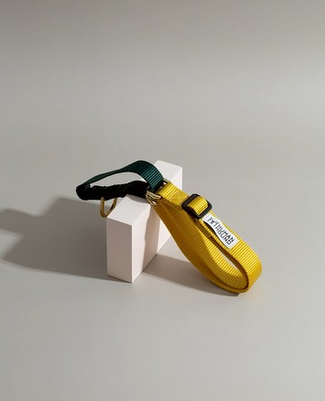 馬丁格爾領子 - 黃色 x 森林綠色