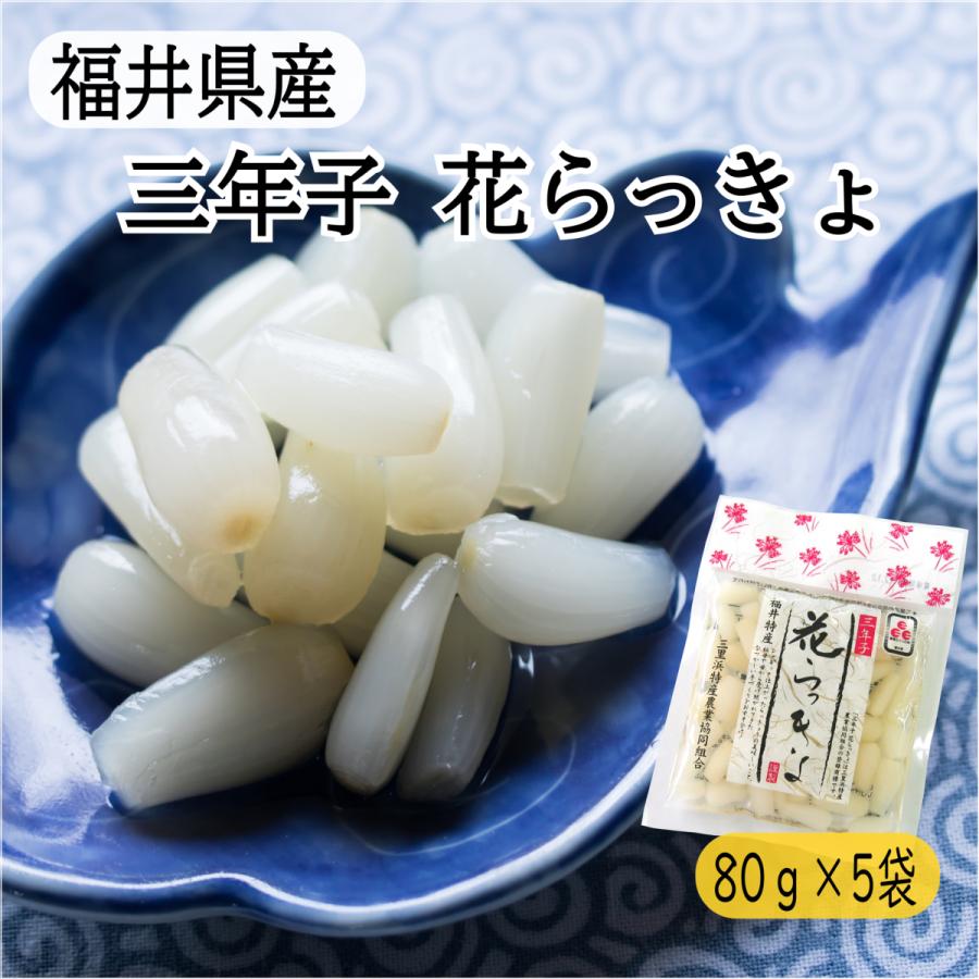 福井 らっきょう 花らっきょう 三年子 ８０ｇ×５袋 三里浜 福井県産 甘酢漬け 国産 満天☆青空レストラン