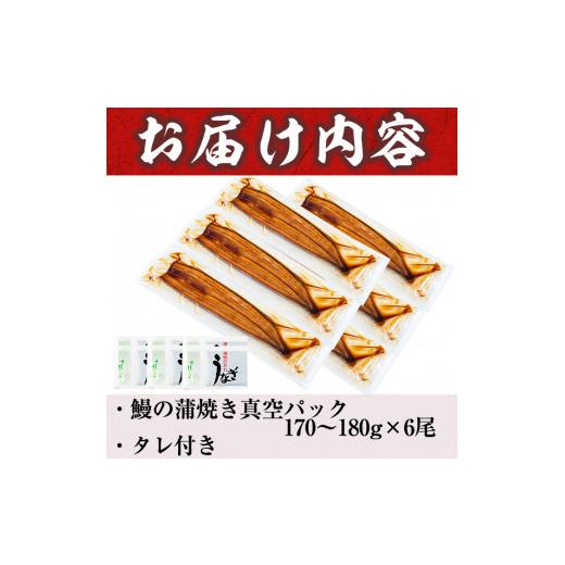 ふるさと納税 鹿児島県 志布志市 うなぎの大楠＜特大＞6尾セット計1kg超(170g×6) d5-001