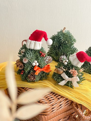 【進口限量】 【DIY材料包】諾貝松乾燥花DIY手作聖誕樹