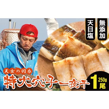 ふるさと納税 特大 あなご一夜干し 1尾  250g 「天女の羽衣」【250g 穴子干物 魚介類 魚 穴子 アナゴ 干物 特大 50cm 無添加 天日塩 新鮮 冷凍 .. 島根県大田市