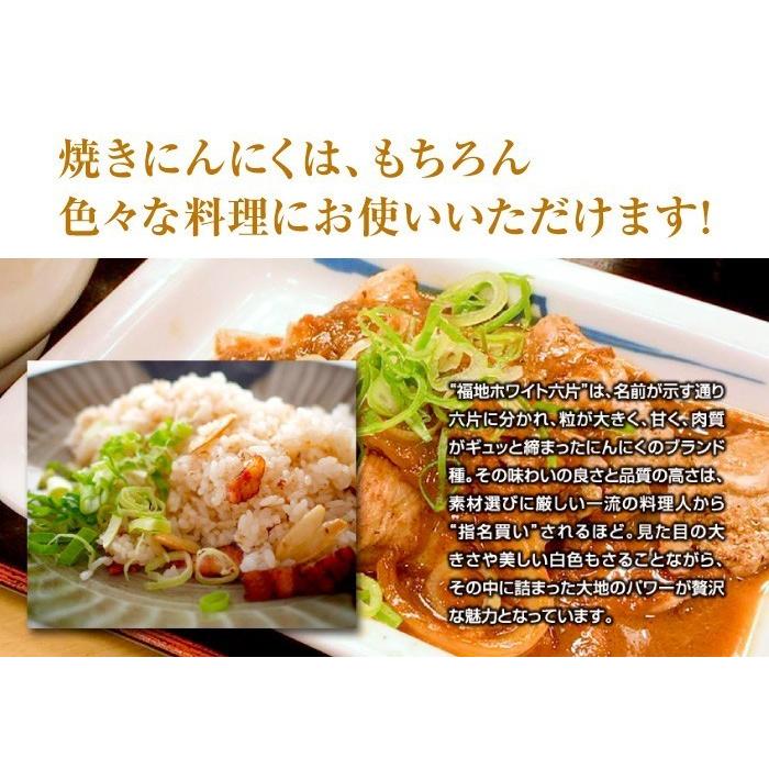 訳あり 乾燥にんにく Sサイズ 1kg 令和5年産 5kg以上ご購入で送料無料 青森県産福地ホワイト六片 食品 香味野菜 にんにく 大蒜 健康のために