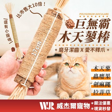 【威杰爾】貓咪木天蓼 木天蓼 貓咪磨牙棒 天然草本 貓玩具 木天蓼磨牙棒 蟲癭果 貓磨牙 貓咪自嗨玩具【G004】