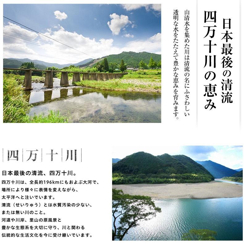 うなぎ 蒲焼き 国産最高級 四万十うなぎ お取り寄せグルメ 詰め合わせ プレゼント お歳暮 2023 ギフト  鰻