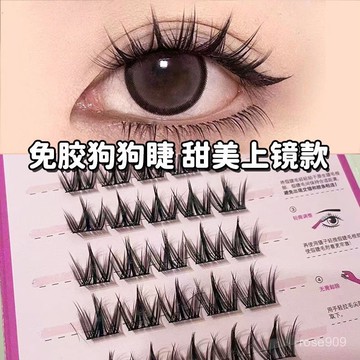 ✨Hannah✨夢鹿免膠假睫毛犬係狗狗眼自然捲翹濃密無需膠水仿真分段式眼睫毛假睫毛 UIJB