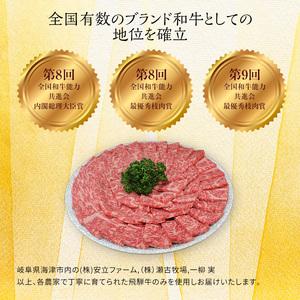 ふるさと納税 岐阜県海津市産 飛騨牛サーロイン すき焼き・しゃぶしゃぶ用500g 岐阜県海津市