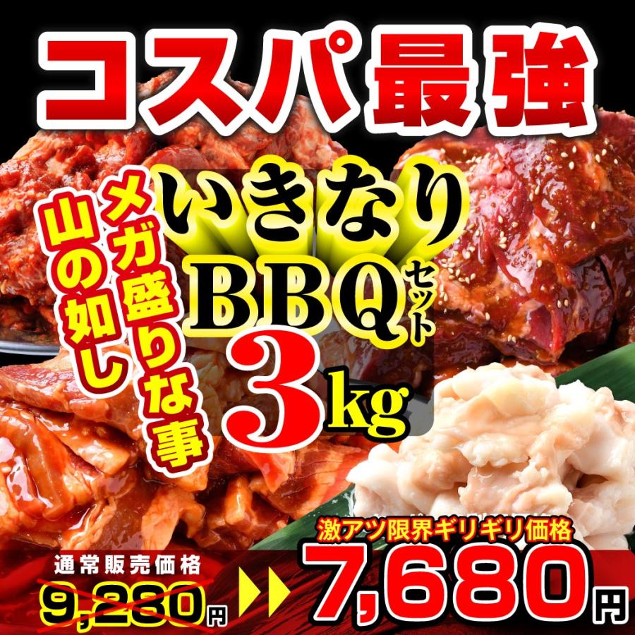 焼肉 牛肉 3kg 焼肉セット 5-9人前 ハラミ カルビ ホルモン 豚肉 送料無料