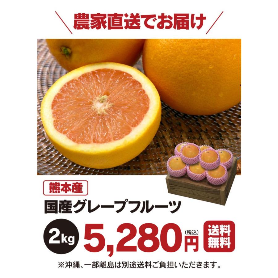 国産 グレープフルーツ 2kg 送料無料 熊本産 JAPANルビー ジャパンルビー  ＜2024年3月下旬より出荷予定＞