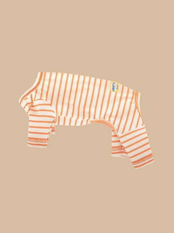 Daily Stripe All-in-One Apparel [Orange]