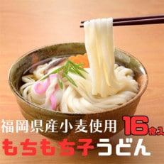 フジギクもちもち子うどん　228g(16食入り)