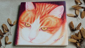 最愛的咪咪寶貝_陶瓷吸水杯墊+同款明信片