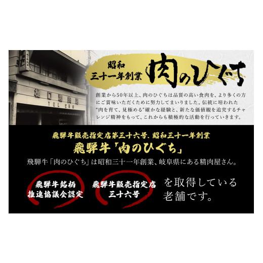 ふるさと納税 岐阜県 可児市 飛騨牛カレーセット