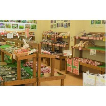 ふるさと納税 20-05阿見町産野菜ボックス（7〜8品） 茨城県阿見町