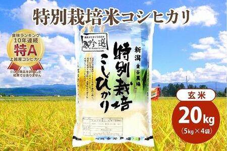 令和5年産|新潟上越三和産|特別栽培米コシヒカリ(従来種)20kg(5kg×4)玄米