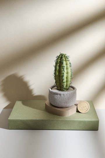 多肉植栽 柱型H / Succulent 手作 貓玩具 家飾品 辦公室 療癒系