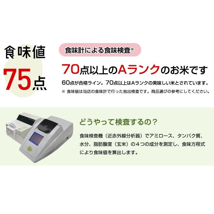 新米　5年産　佐賀県白米20kg(5kg×4袋) お米 米 佐賀県産 