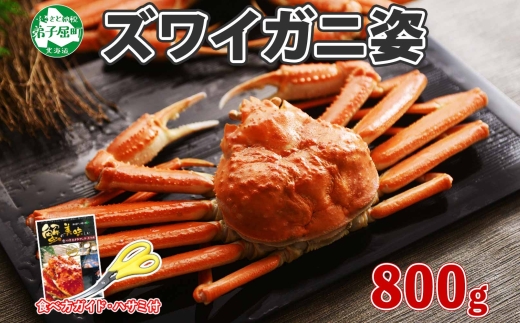 1719.  ボイルズワイガニ姿 800g 食べ方ガイド・専用ハサミ付 カニ 蟹 ずわい ギフト 送料無料 北海道 弟子屈町