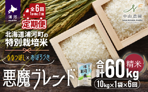 北海道浦河町の特別栽培米「悪魔ブレンド」精米(10kg×1袋)定期便(全6回)[37-1223]