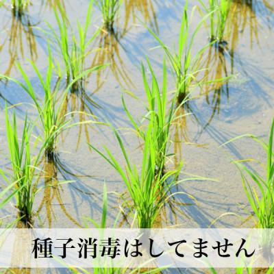 ふるさと納税 芦屋町 玄米 農薬不使用(栽培期間中)  福岡県芦屋町産コシヒカリ 〈玄米〉5kg