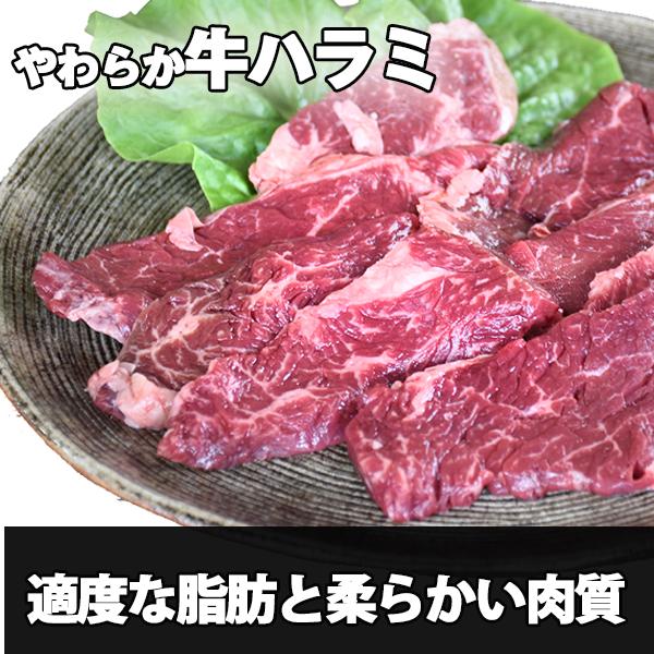 牛ハラミ ２００g （スタミナ味）