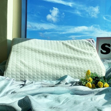 【廠商直送】戀家小舖物理性抗菌防蹣人體工學乳膠枕