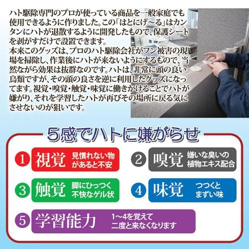 浩生 ハト駆除会社が使っている はとにげ~る