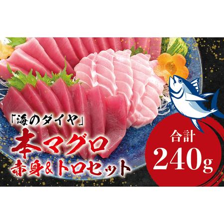 ふるさと納税 ＼年末発送！お正月に／本マグロ（養殖）トロ＆赤身セット 240g まぐろ 刺身 鮪 本鮪 クロマグロ 赤.. 和歌山県すさみ町