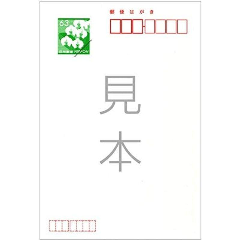 メイドインたんたん 官製 10枚 喪中はがき 手書き記入タイプ 切手付ハガキ 裏面印刷済み k823 新年の挨拶にかえて