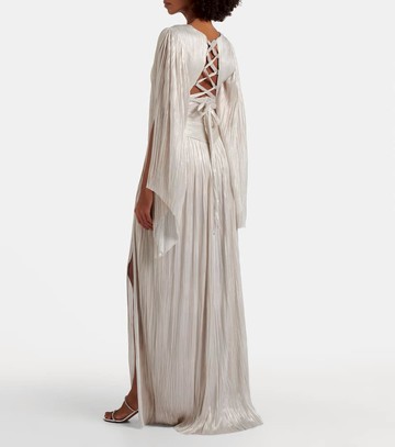 Maria Lucia Hohan Draped silk gown
