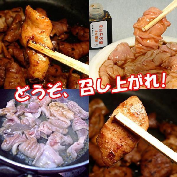 焼き肉 国産 豚肉 ホルモン(ミックス) 500g 自家製みそダレ付属 （BBQ バーべキュー）焼肉 (もつ鍋 もつ煮込み)