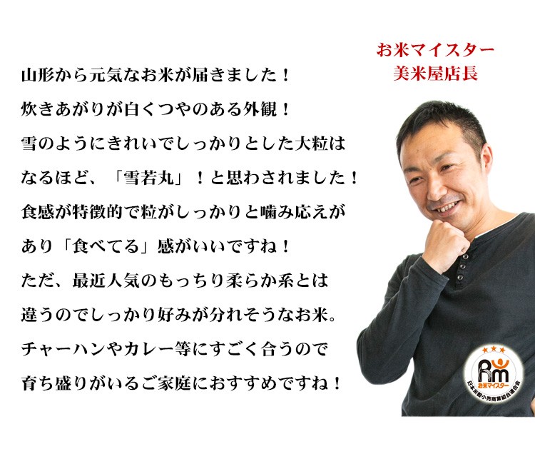 新米 米 白米 10kg 送料無料 雪若丸 5kg×2袋 山形県産 令和5年産 雪若丸 お米 10キロ 安い 送料無料