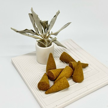 光之淨化 秘魯聖木 白鼠尾草  藍鼠尾草 雪松 錐香 塔香 情緒舒緩 炭餅 容器打底沙 鮑魚殼 淨化水晶 薩滿 淨化開運