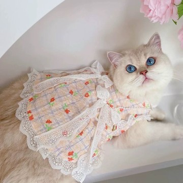 【汪喵森活】 超美❤ 珍珠鍊 蝴蝶結 仙女洋裝 寵物洋裝 婚禮 寵物禮服 蕾絲 拍照 西施 比熊 博美 貴賓 貓咪 結婚