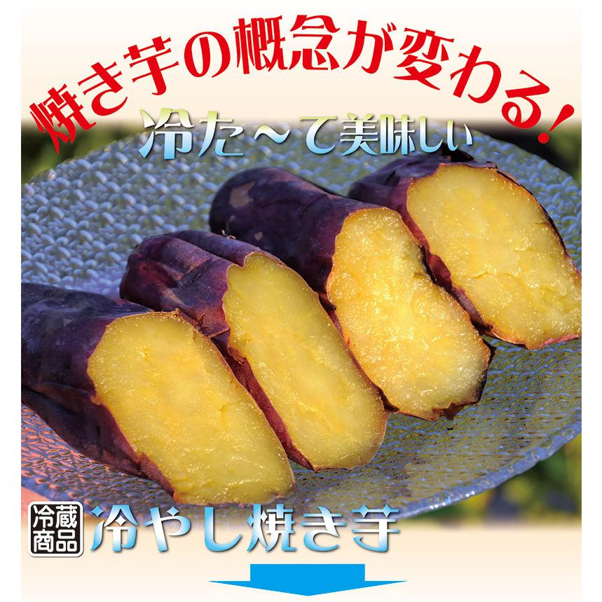 アオイファーム  葵はるか 焼き芋 紅はるか ねっとり甘い 冷蔵 冷やし焼き芋 ひえひえ君 1Kg 送料無料