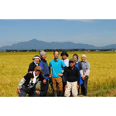 ふるさと納税 上越市 新潟県上越産特別栽培米こしひかり5Kg精米全3回